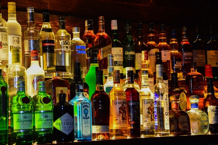 Fertil Dbayeh on Saturday Night